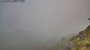 ./images/calvert/foggy-cove/20260622/foggy-cove20260622_054501M.jpg