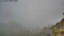 ./images/calvert/foggy-cove/20260622/foggy-cove20260622_055001M.jpg