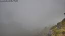./images/calvert/foggy-cove/20260622/foggy-cove20260622_061001M.jpg