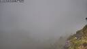 ./images/calvert/foggy-cove/20260622/foggy-cove20260622_061502M.jpg