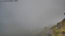 ./images/calvert/foggy-cove/20260622/foggy-cove20260622_063501M.jpg