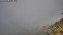 ./images/calvert/foggy-cove/20260622/foggy-cove20260622_064001M.jpg