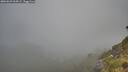 ./images/calvert/foggy-cove/20260622/foggy-cove20260622_064501M.jpg
