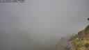 ./images/calvert/foggy-cove/20260622/foggy-cove20260622_065001M.jpg