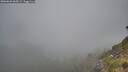 ./images/calvert/foggy-cove/20260622/foggy-cove20260622_065501M.jpg
