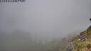 ./images/calvert/foggy-cove/20260622/foggy-cove20260622_070501M.jpg