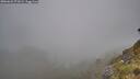 ./images/calvert/foggy-cove/20260622/foggy-cove20260622_071002M.jpg