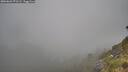 ./images/calvert/foggy-cove/20260622/foggy-cove20260622_071501M.jpg