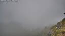 ./images/calvert/foggy-cove/20260622/foggy-cove20260622_072001M.jpg
