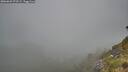 ./images/calvert/foggy-cove/20260622/foggy-cove20260622_073501M.jpg