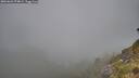 ./images/calvert/foggy-cove/20260622/foggy-cove20260622_074001M.jpg