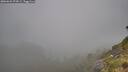 ./images/calvert/foggy-cove/20260622/foggy-cove20260622_074501M.jpg