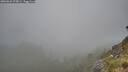./images/calvert/foggy-cove/20260622/foggy-cove20260622_075001M.jpg
