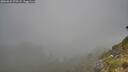 ./images/calvert/foggy-cove/20260622/foggy-cove20260622_075501M.jpg