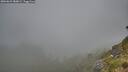 ./images/calvert/foggy-cove/20260622/foggy-cove20260622_080001M.jpg
