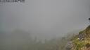 ./images/calvert/foggy-cove/20260622/foggy-cove20260622_080501M.jpg