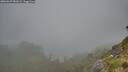 ./images/calvert/foggy-cove/20260622/foggy-cove20260622_081001M.jpg
