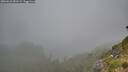 ./images/calvert/foggy-cove/20260622/foggy-cove20260622_081501M.jpg