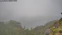 ./images/calvert/foggy-cove/20260622/foggy-cove20260622_082001M.jpg