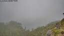 ./images/calvert/foggy-cove/20260622/foggy-cove20260622_082501M.jpg