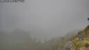 ./images/calvert/foggy-cove/20260622/foggy-cove20260622_083001M.jpg