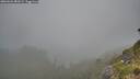 ./images/calvert/foggy-cove/20260622/foggy-cove20260622_083502M.jpg