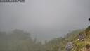 ./images/calvert/foggy-cove/20260622/foggy-cove20260622_084002M.jpg