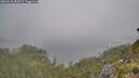 ./images/calvert/foggy-cove/20260622/foggy-cove20260622_084501M.jpg