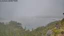 ./images/calvert/foggy-cove/20260622/foggy-cove20260622_085501M.jpg