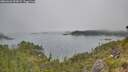 ./images/calvert/foggy-cove/20260622/foggy-cove20260622_092001M.jpg