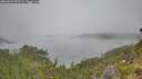 ./images/calvert/foggy-cove/20260622/foggy-cove20260622_092501M.jpg