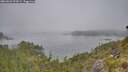 ./images/calvert/foggy-cove/20260622/foggy-cove20260622_094501M.jpg