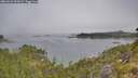./images/calvert/foggy-cove/20260622/foggy-cove20260622_095002M.jpg