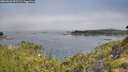 ./images/calvert/foggy-cove/20260622/foggy-cove20260622_095501M.jpg