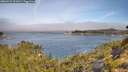 ./images/calvert/foggy-cove/20260622/foggy-cove20260622_101001M.jpg