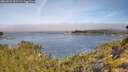 ./images/calvert/foggy-cove/20260622/foggy-cove20260622_101501M.jpg