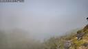 ./images/calvert/foggy-cove/20260622/foggy-cove20260622_103001M.jpg