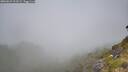 ./images/calvert/foggy-cove/20260622/foggy-cove20260622_103501M.jpg