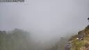 ./images/calvert/foggy-cove/20260622/foggy-cove20260622_104002M.jpg
