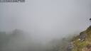 ./images/calvert/foggy-cove/20260622/foggy-cove20260622_104501M.jpg