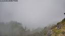./images/calvert/foggy-cove/20260622/foggy-cove20260622_105501M.jpg