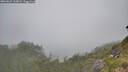 ./images/calvert/foggy-cove/20260622/foggy-cove20260622_110001M.jpg