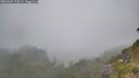 ./images/calvert/foggy-cove/20260622/foggy-cove20260622_110501M.jpg