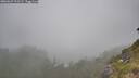 ./images/calvert/foggy-cove/20260622/foggy-cove20260622_111501M.jpg