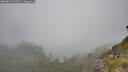 ./images/calvert/foggy-cove/20260622/foggy-cove20260622_112001M.jpg