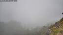 ./images/calvert/foggy-cove/20260622/foggy-cove20260622_112501M.jpg