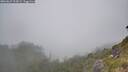 ./images/calvert/foggy-cove/20260622/foggy-cove20260622_113001M.jpg