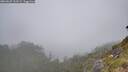 ./images/calvert/foggy-cove/20260622/foggy-cove20260622_113501M.jpg