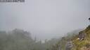 ./images/calvert/foggy-cove/20260622/foggy-cove20260622_114001M.jpg
