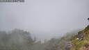 ./images/calvert/foggy-cove/20260622/foggy-cove20260622_114501M.jpg